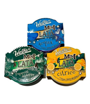 AROMATIZANTE EN GEL MINI LATA SURTIDA 40G